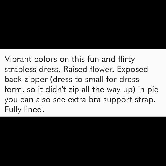 LaRok Dress - Picture 4 of 5